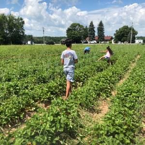 Meet your Posher, Omar